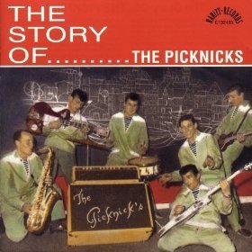The Picknicks - The Story of (best of)