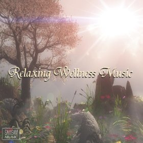 Relaxing Wellness Music - Various Artists