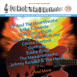 De Rock 'n Roll Methode 29 - Various Artists