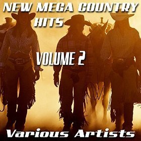 New Mega Country Hits, Vol. 2 - Various Artists