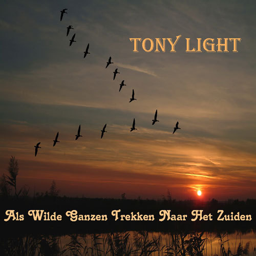 Tony Light - Als Wilde Ganzen Trekken Naar Het Zuiden (single)